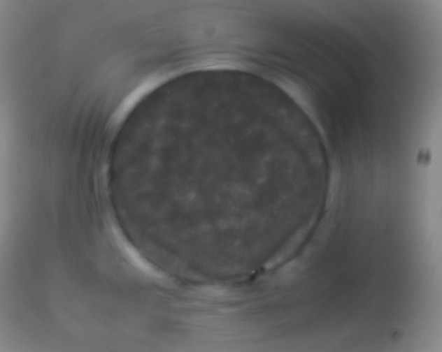 X0000113951197200910161932