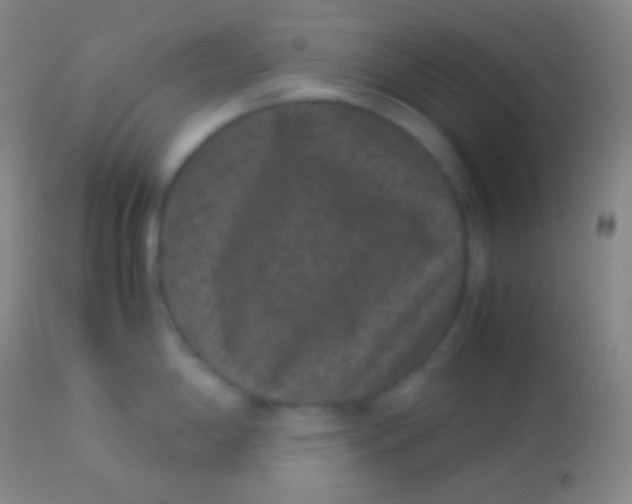 X0000113951198200910161932