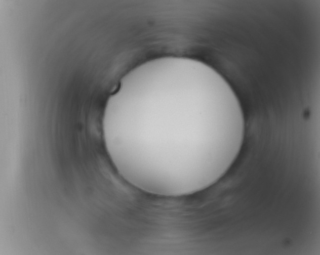 X0000113951202200910161931