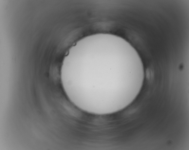X0000113951203200910161931
