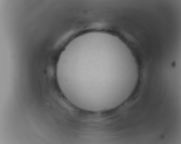 X0000113951206200910161931