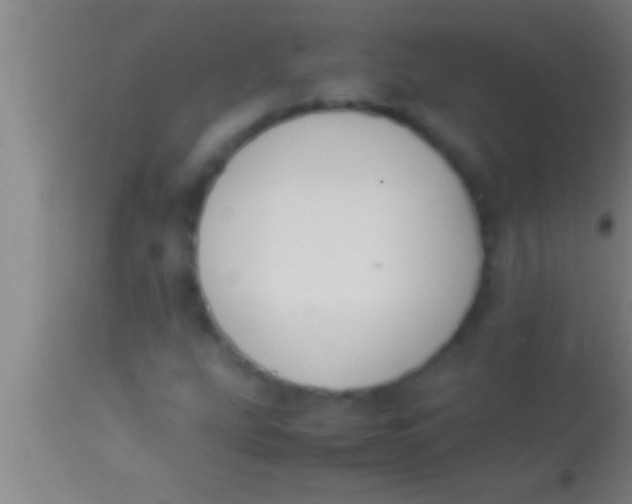 X0000113951207200910161931