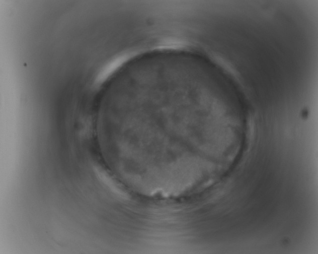 X0000113951208200910161931
