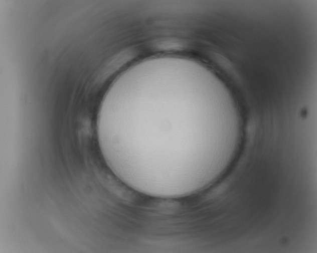 X0000113951209200910161931