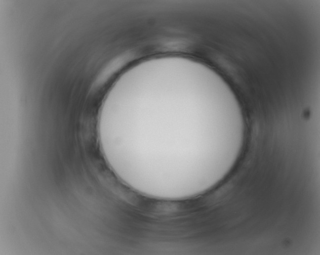 X0000113951211200910161931