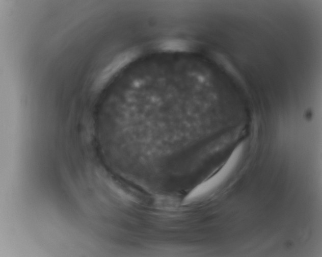 X0000113951213200910161931
