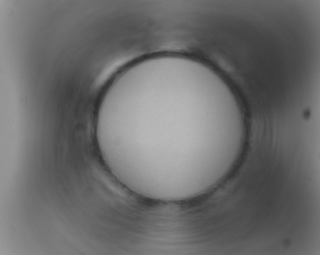 X0000113951214200910161931
