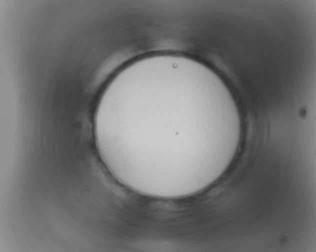 X0000113951215200910161931