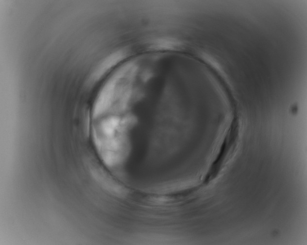 X0000113951219200910161931
