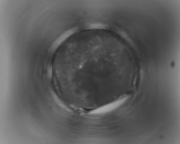 X0000113951221200910161931