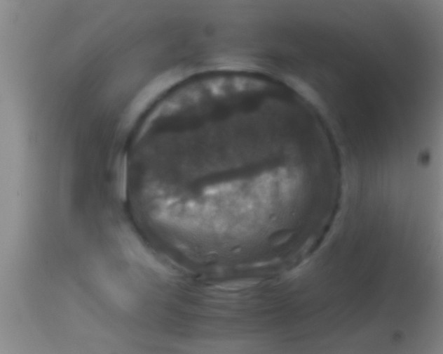 X0000113951223200910161931