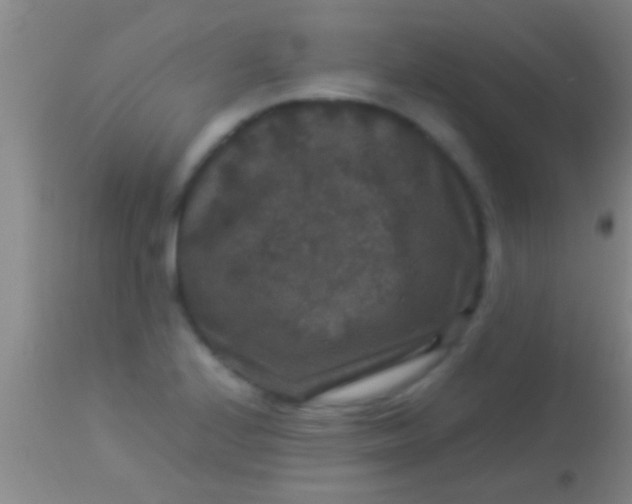 X0000113951224200910161931