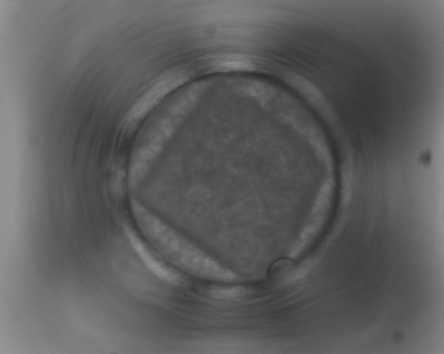 X0000113951225200910161931
