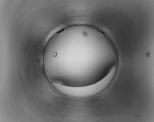 X0000113951226200910161931