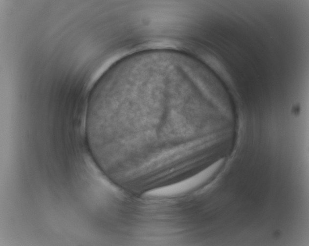 X0000113951228200910161931