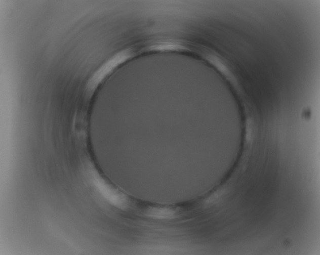 X0000113951229200910161931