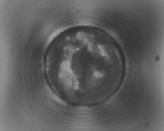 X0000113951230200910161931