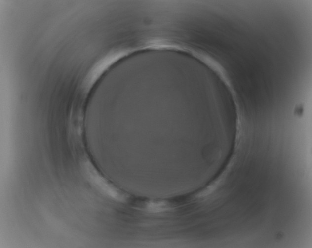 X0000113951231200910161931