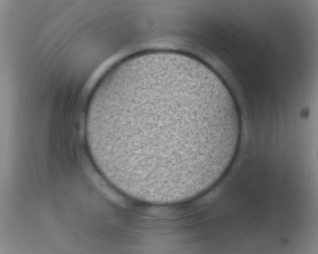 X0000113951232200910161931
