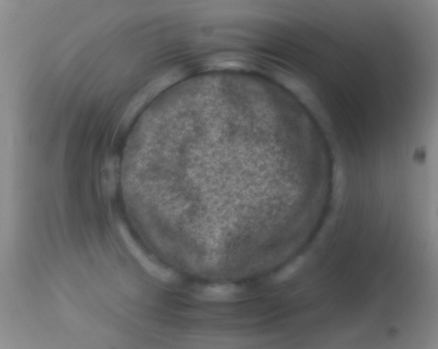 X0000113951233200910161931