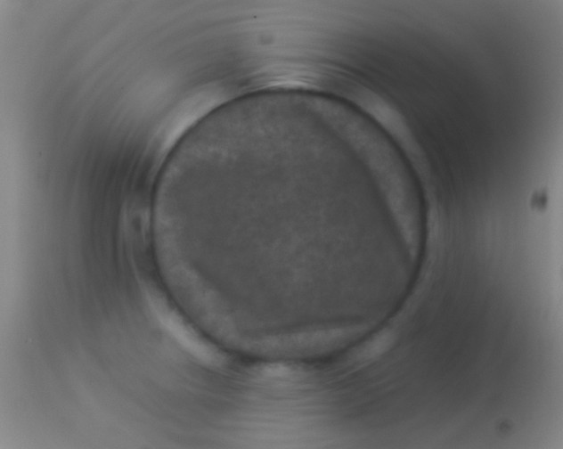 X0000113951234200910161931
