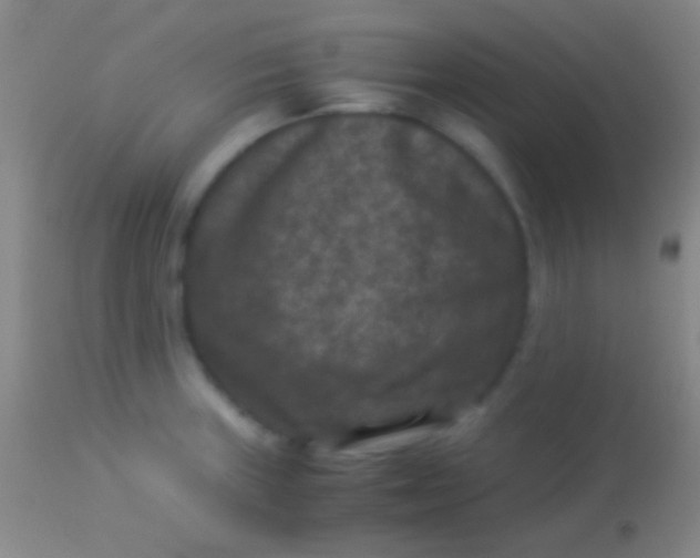 X0000113951235200910161932