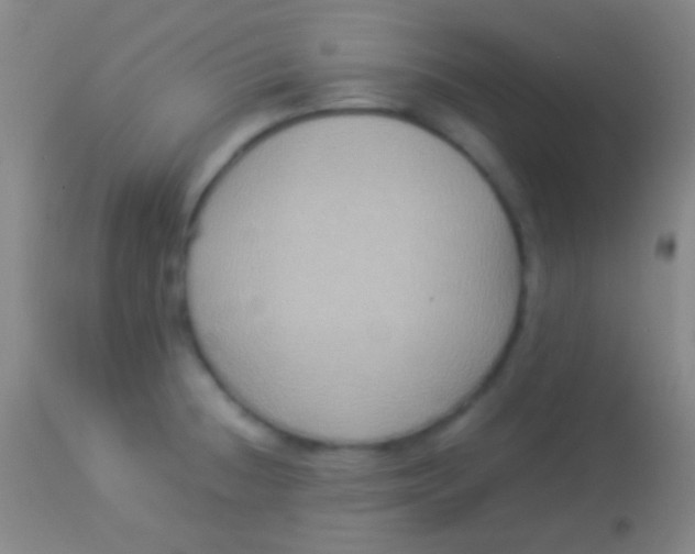 X0000113951236200910161932