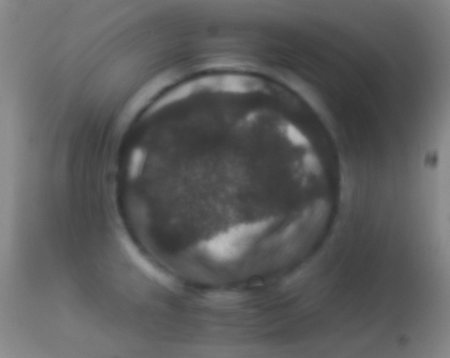 X0000113951237200910161932