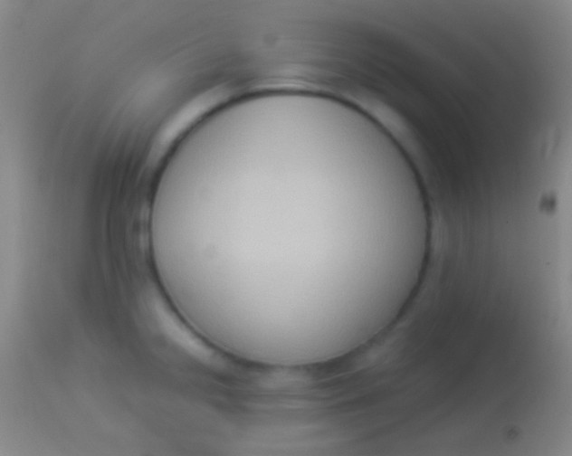 X0000113951238200910161932