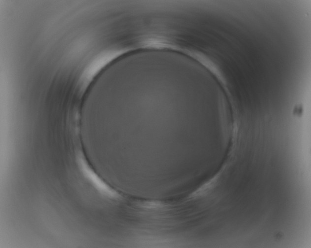 X0000113951239200910161932