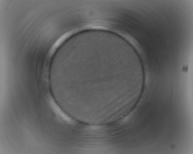 X0000113951240200910161932