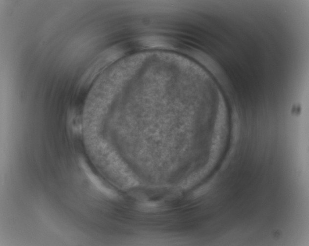 X0000113951241200910161932
