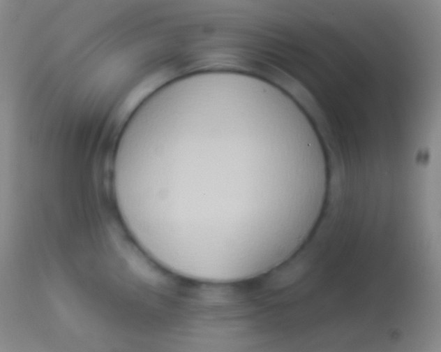 X0000113951242200910161932