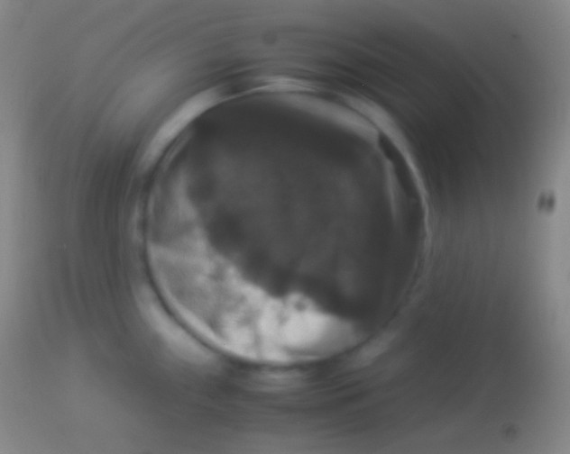 X0000113951243200910161932