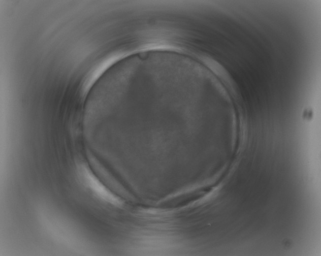 X0000113951244200910161932