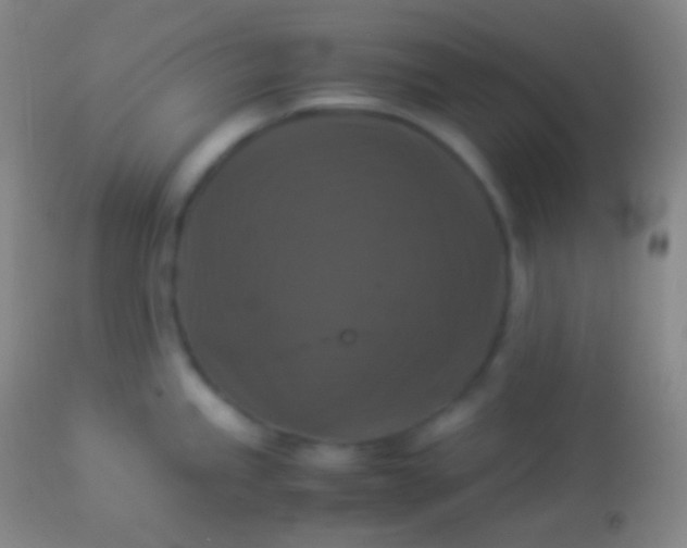 X0000113951245200910161932