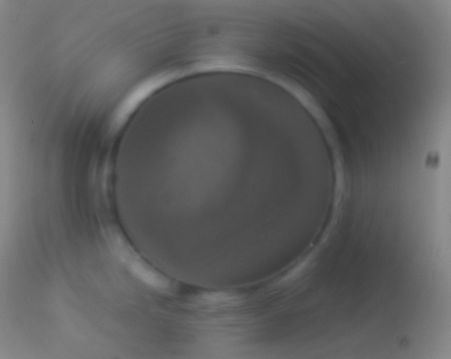 X0000113951246200910161932