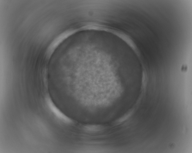 X0000113951247200910161932