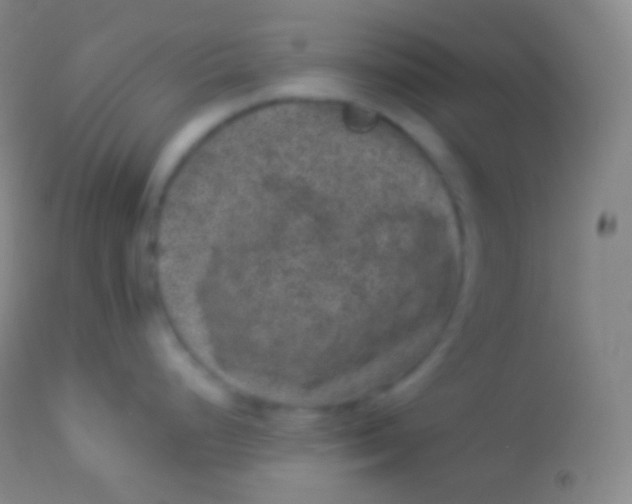 X0000113951248200910161932