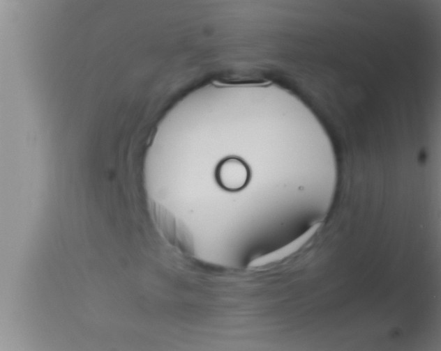 X0000113951249200910161931