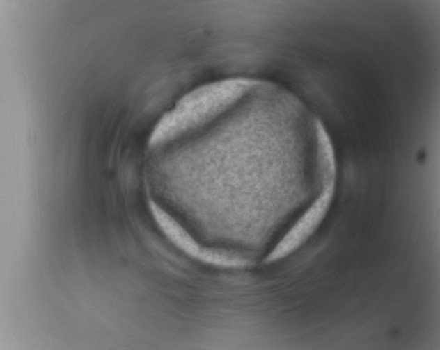 X0000113951250200910161931