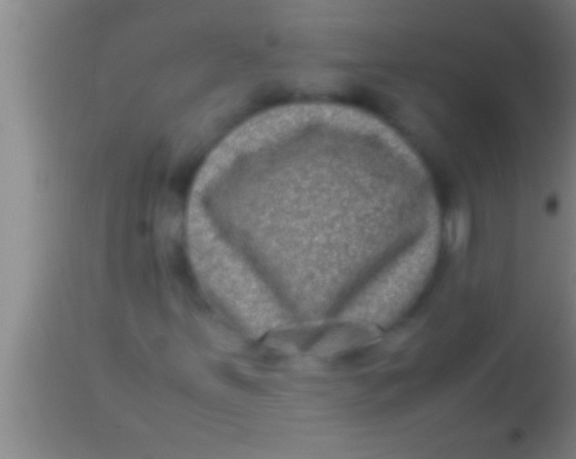 X0000113951251200910161931