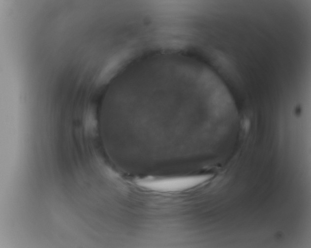 X0000113951252200910161931