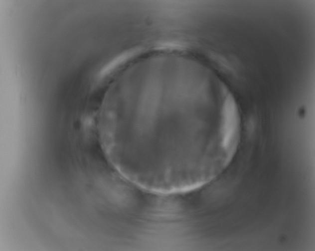 X0000113951254200910161931
