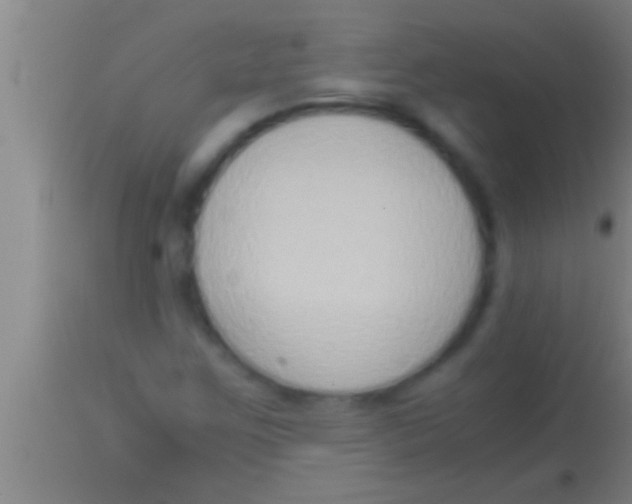 X0000113951259200910161931
