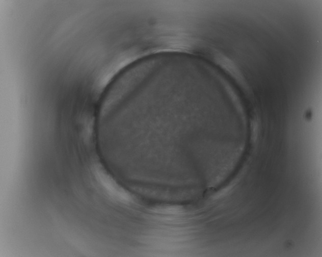 X0000113951260200910161931