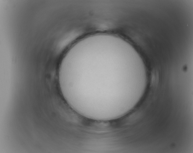 X0000113951261200910161931