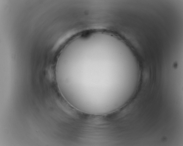 X0000113951262200910161931