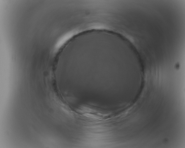X0000113951263200910161931