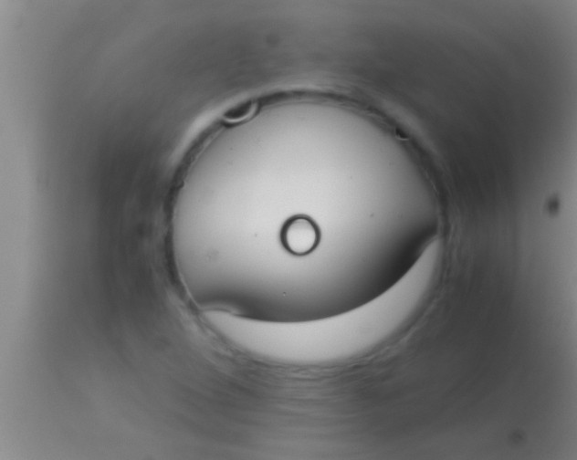X0000113951264200910161931
